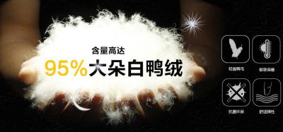 湛江紫荊羽絨制品有限公司